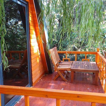 Trinitys Forest Bungalows Kemer Eksteriør bilde