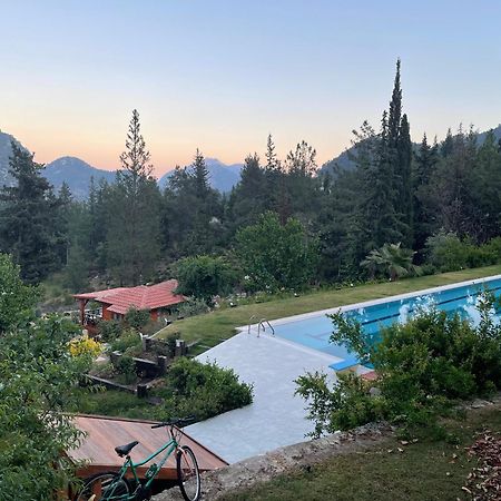 Trinitys Forest Bungalows Kemer Eksteriør bilde