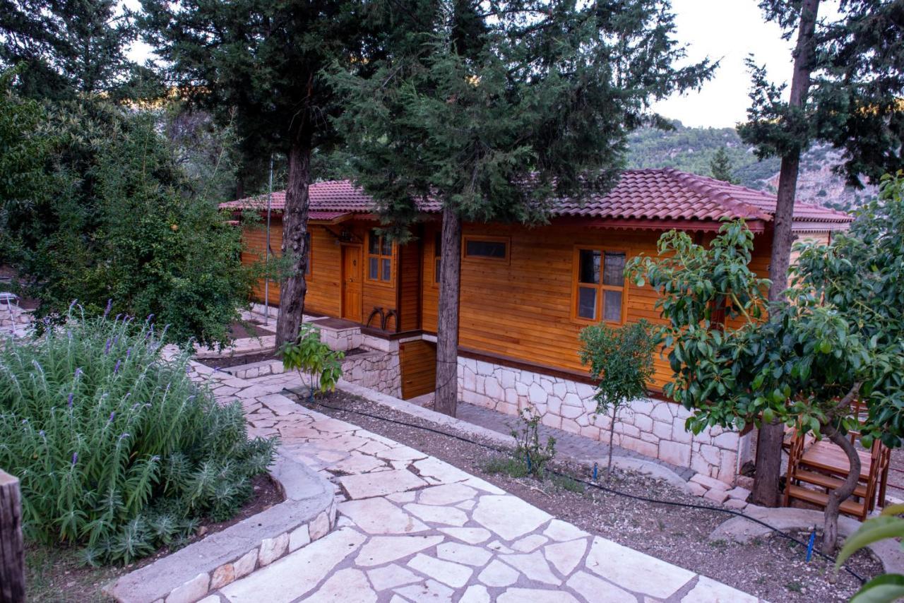 Trinitys Forest Bungalows Kemer Eksteriør bilde