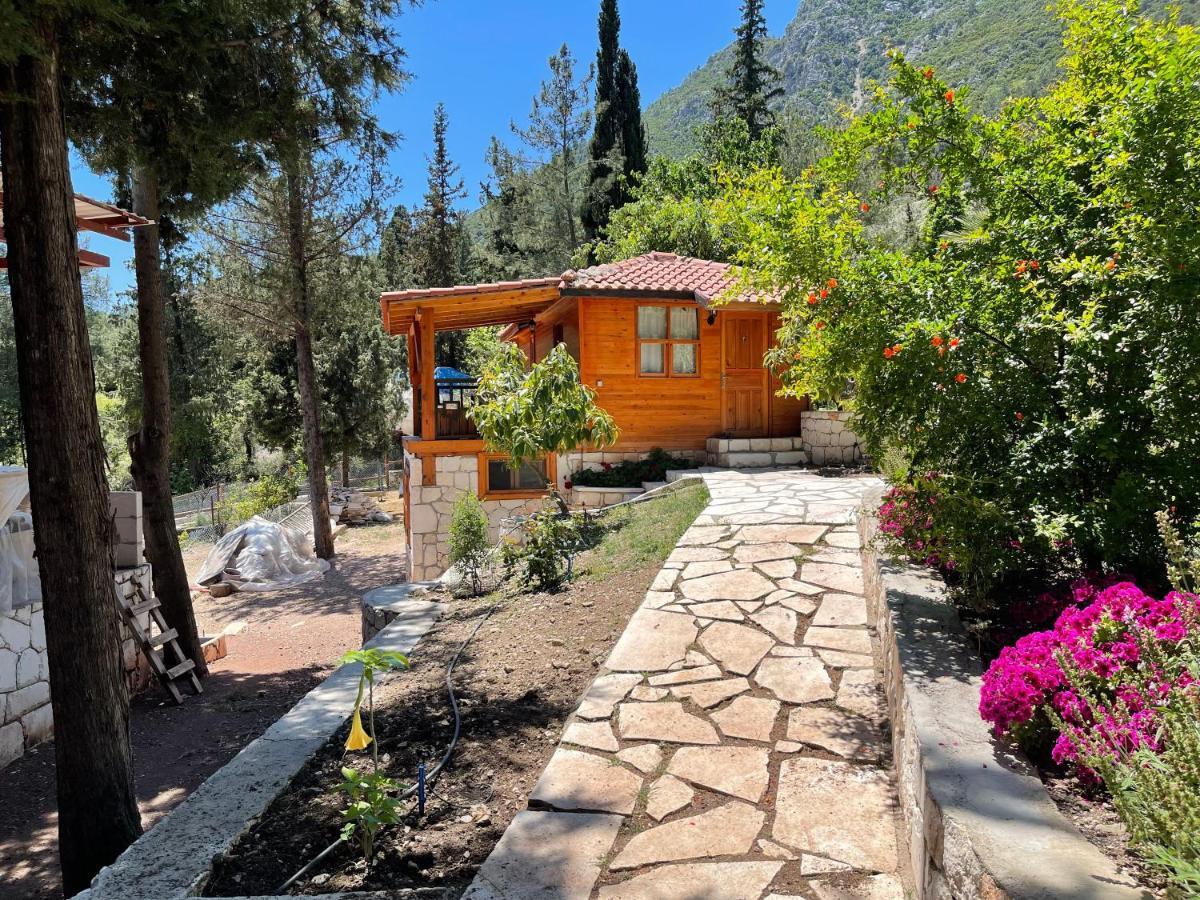 Trinitys Forest Bungalows Kemer Eksteriør bilde