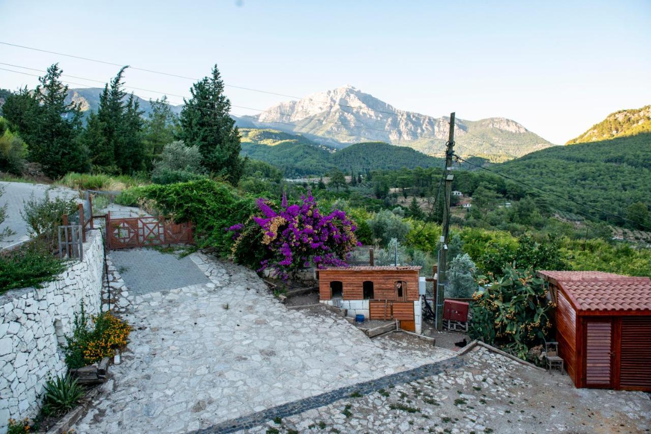 Trinitys Forest Bungalows Kemer Eksteriør bilde