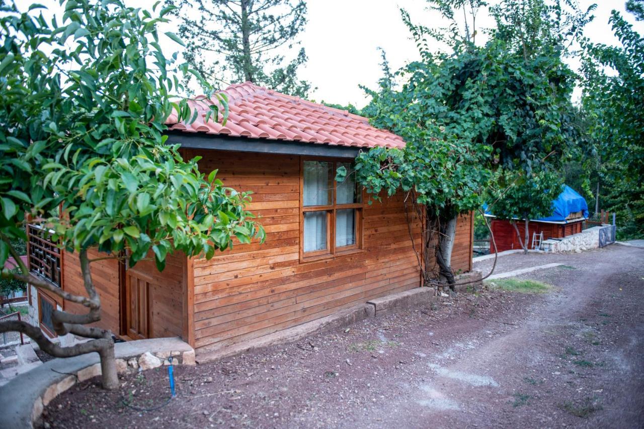 Trinitys Forest Bungalows Kemer Eksteriør bilde
