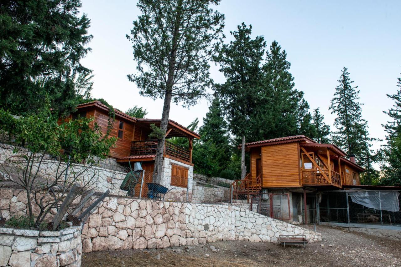 Trinitys Forest Bungalows Kemer Eksteriør bilde