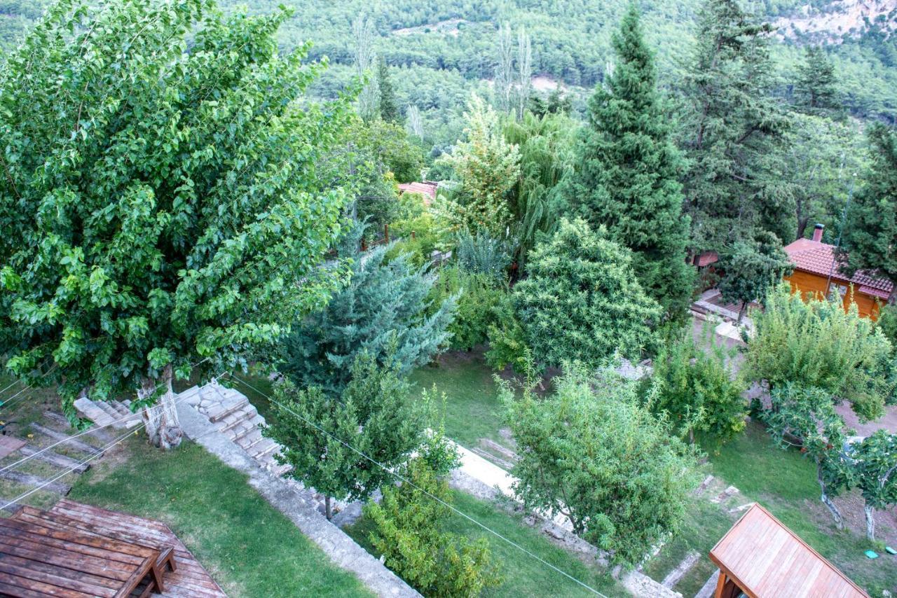 Trinitys Forest Bungalows Kemer Eksteriør bilde