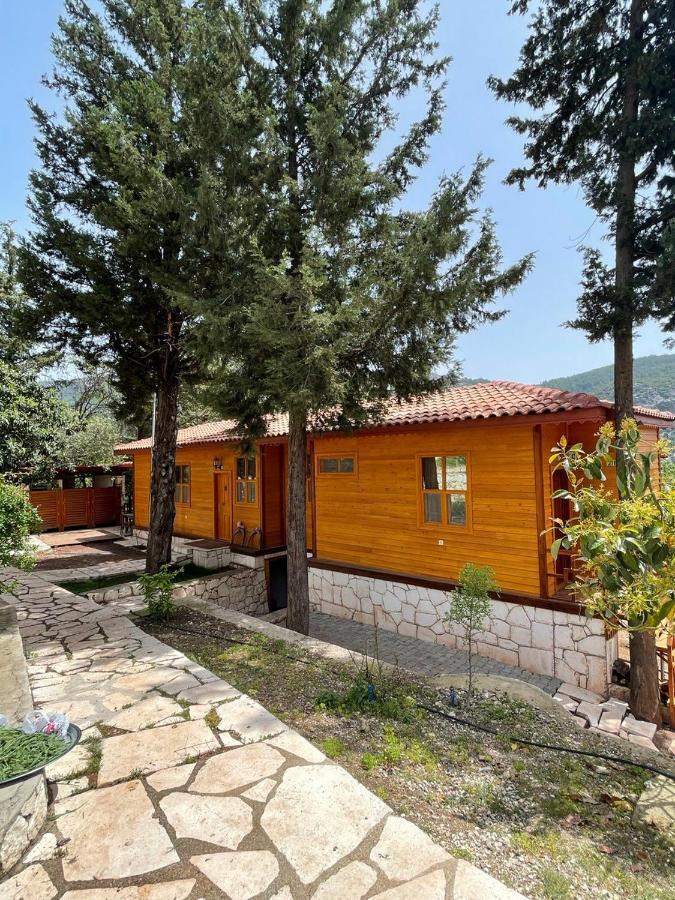 Trinitys Forest Bungalows Kemer Eksteriør bilde