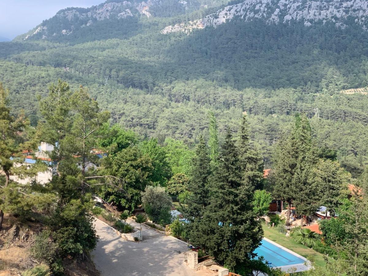 Trinitys Forest Bungalows Kemer Eksteriør bilde