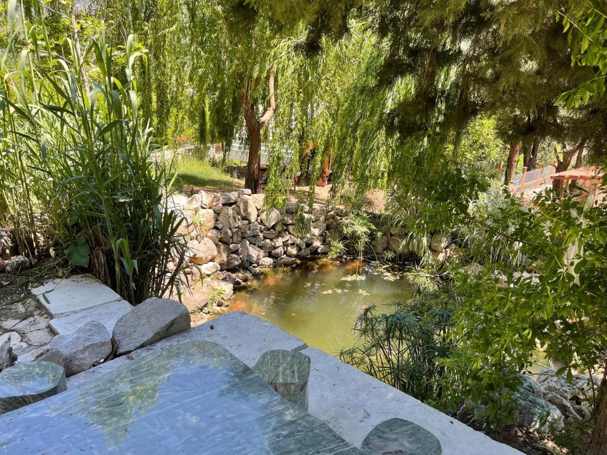 Trinitys Forest Bungalows Kemer Eksteriør bilde