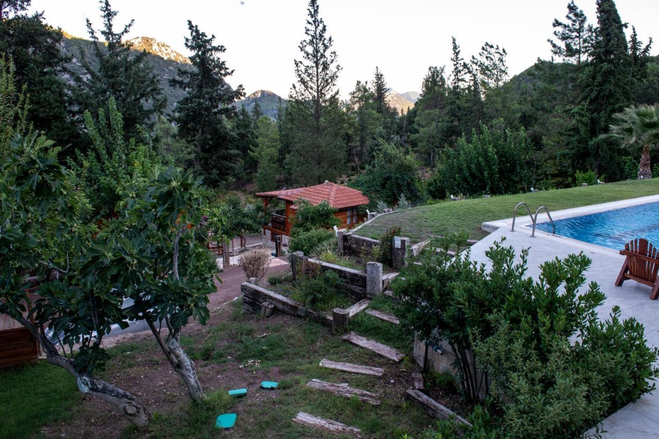 Trinitys Forest Bungalows Kemer Eksteriør bilde