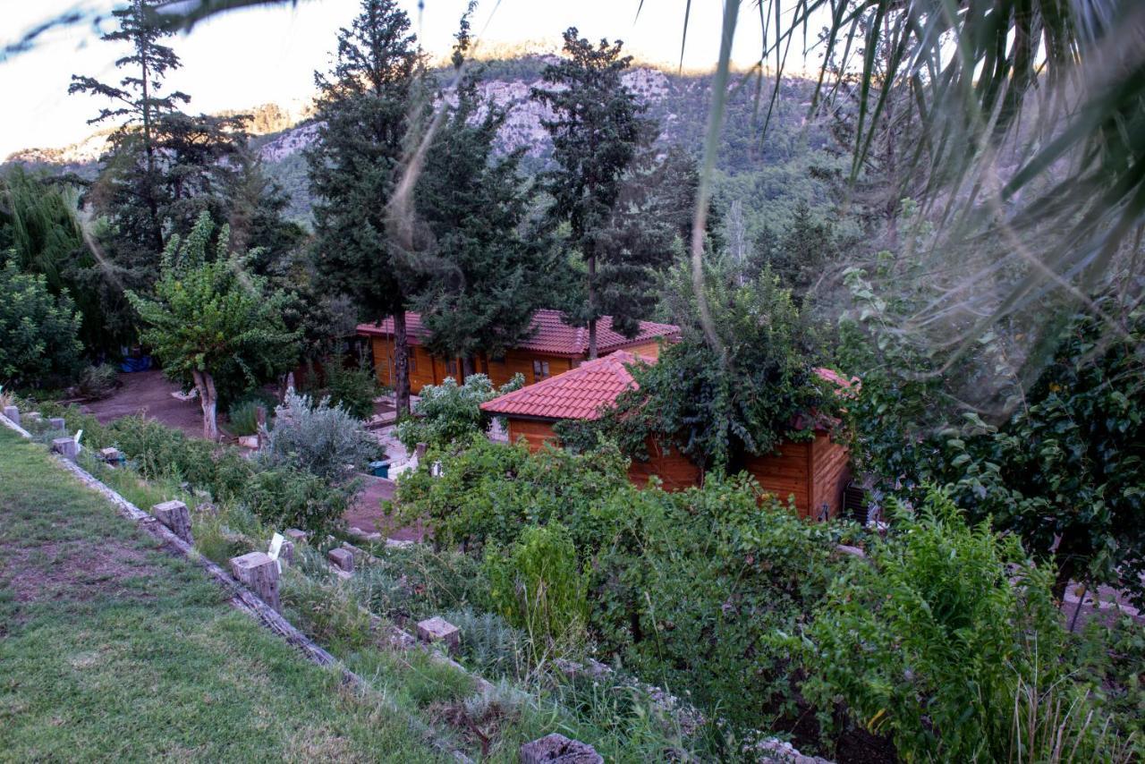 Trinitys Forest Bungalows Kemer Eksteriør bilde