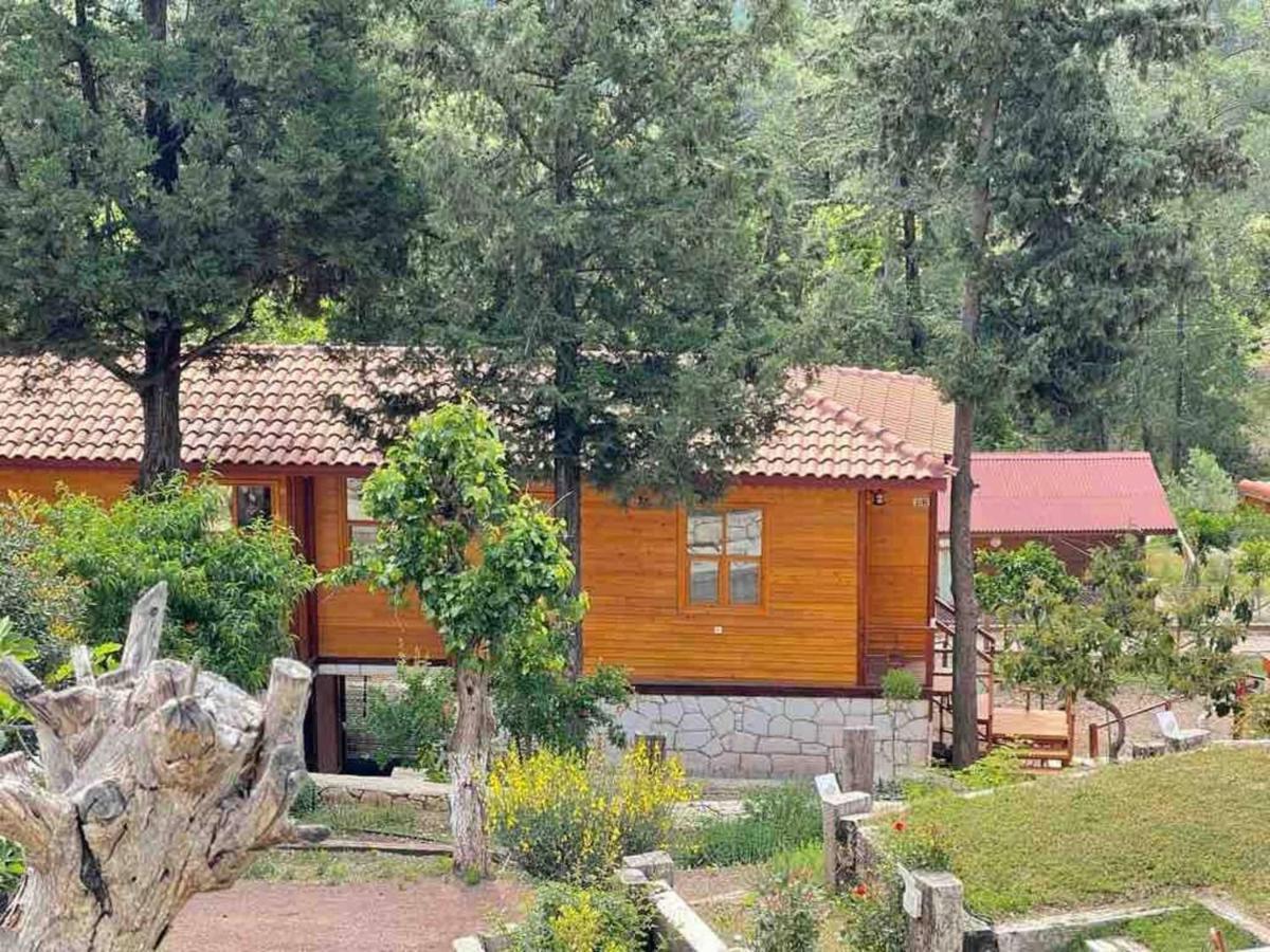 Trinitys Forest Bungalows Kemer Eksteriør bilde