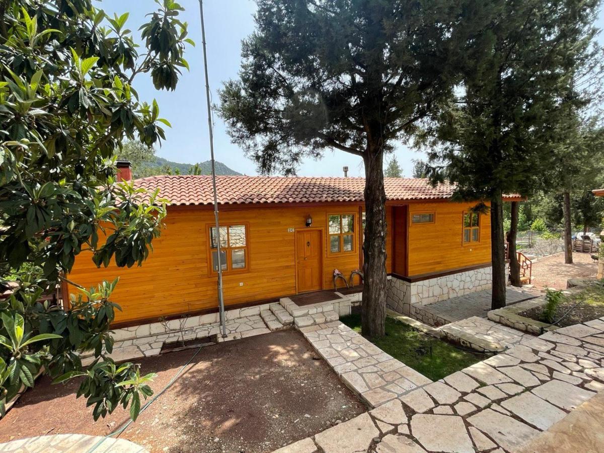 Trinitys Forest Bungalows Kemer Eksteriør bilde