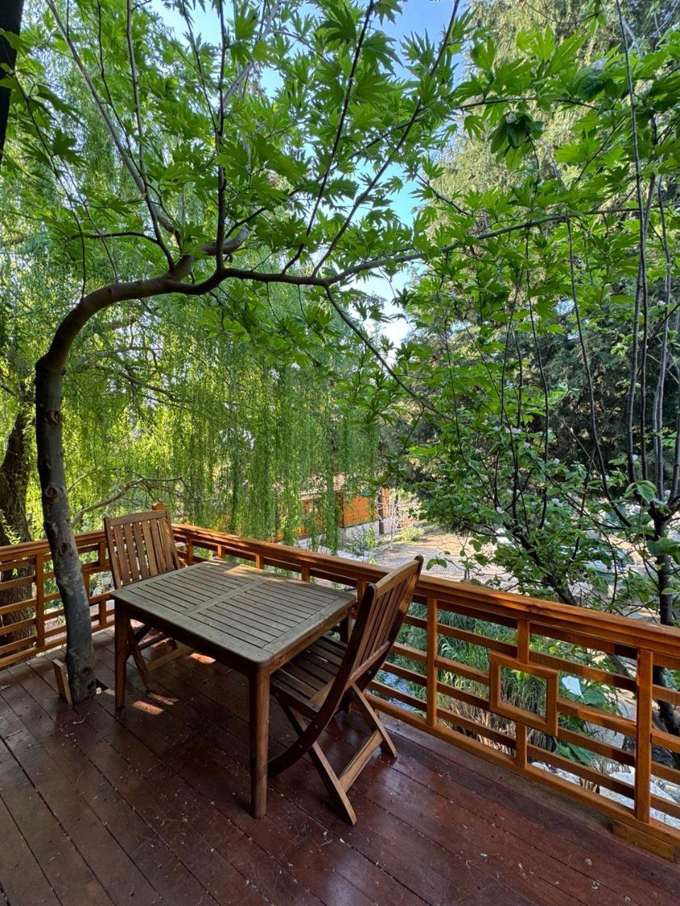 Trinitys Forest Bungalows Kemer Eksteriør bilde